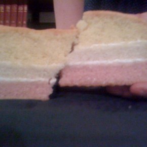 Earth Science Week day 5: chocolate rocks and angel cake&nbsp;layers….