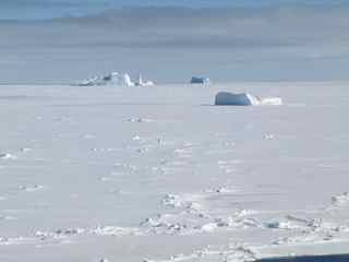 Icebergs in the Ross Sea pack ice