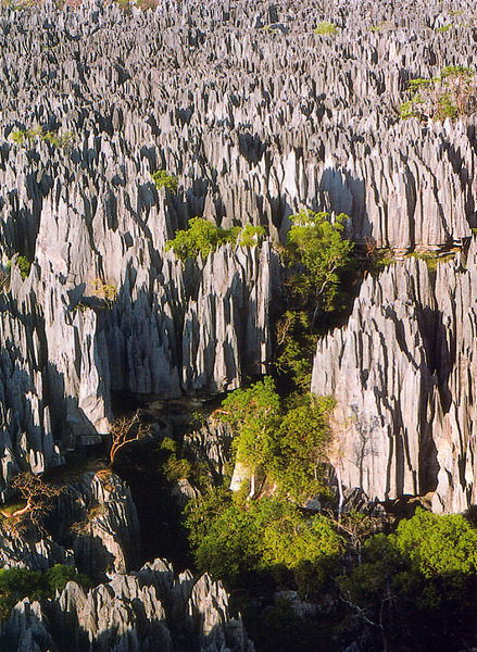 Tsingy de Bemaraha