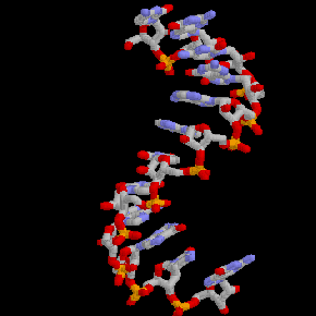 Keeping an eye on ocean&nbsp;microbes