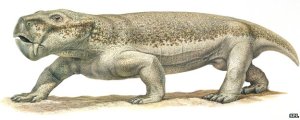 _71381389_c0108412-dicynodont,_prehit