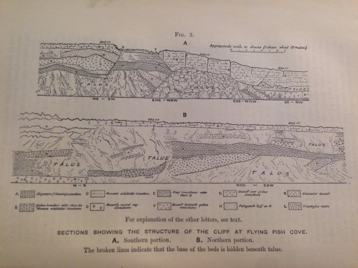 Cross Section taken from 'A  Monograph of Christmas Island' by Charles W. Andrews published in 1900. 