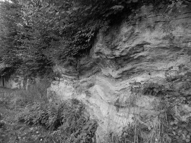 Jonathan Foster, 'Quarry Moor in Ripon, North Yorkshire'