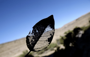 Zebra River Canyon 3