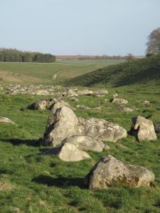 Fyfield Down 2