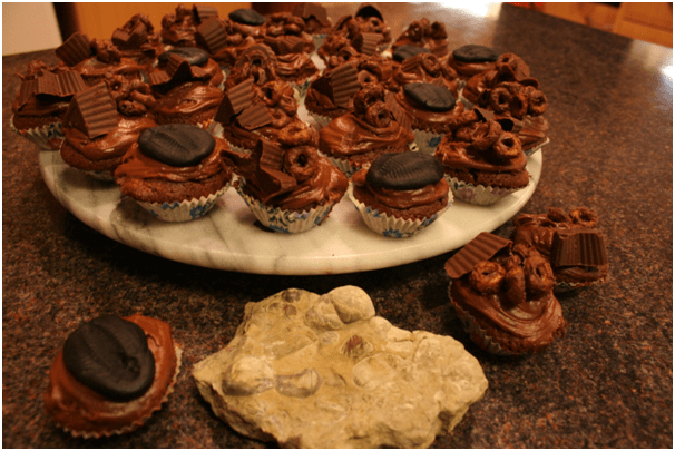 Silurian death assemblage cupcakes.