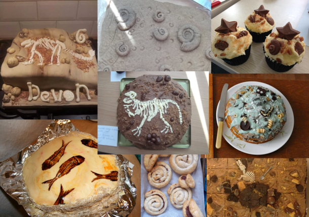 Interesting fossils montage