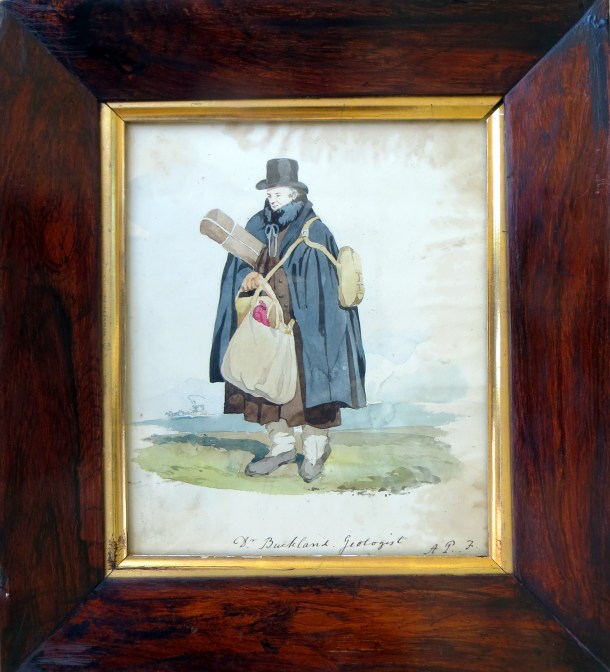 Buckalnd in Field Gear by 'AFP'