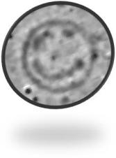 Stonehenge Hidden Landscapes Project – Stonehenge Smiley face (yes folks that really is a prehistoric ring ditch with internal or earlier features)© LBI ArchPro