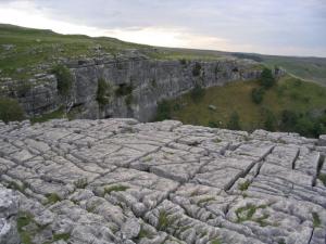 Limestone pavement at Malham Cove. Image Credit - Lupin, Wikipedia.