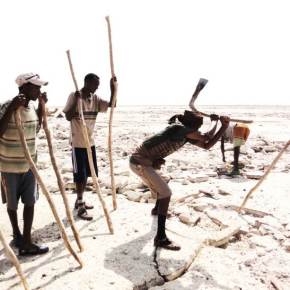 Terra Infirma: What has salt tectonics ever done for&nbsp;us?