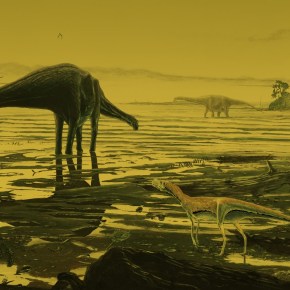 Rare Scottish fossil tracks are a ‘dinosaur disco preserved in&nbsp;stone’