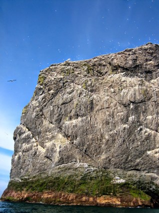 Boreray St Kilda c Louise Squire