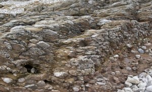 The winning Funzie conglomerate!