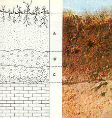 soil structure