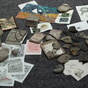 The mystery of Brunaspis enigmatica and the Great Crisis&nbsp;Stratum