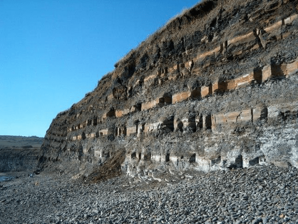 Rocks at Kimmeridge Bay, a Spite of Special Scientific Interest