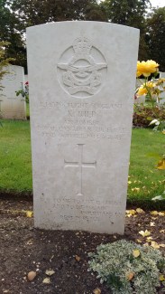 Bioturbated facies of Portland Stone