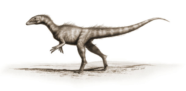 dracoraptor_hanigani
