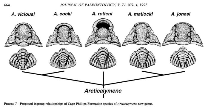 sexpistolstrilobites