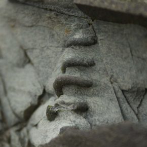 The Worms That&nbsp;Turned