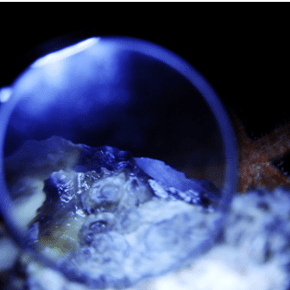 Journey to the&nbsp;Interior