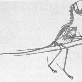 The man who split the dinosaurs in&nbsp;two