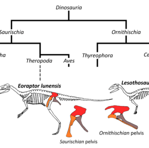 ‘Whole Lotta Shakin’ Goin’ On’ in the world of&nbsp;dinosaurs