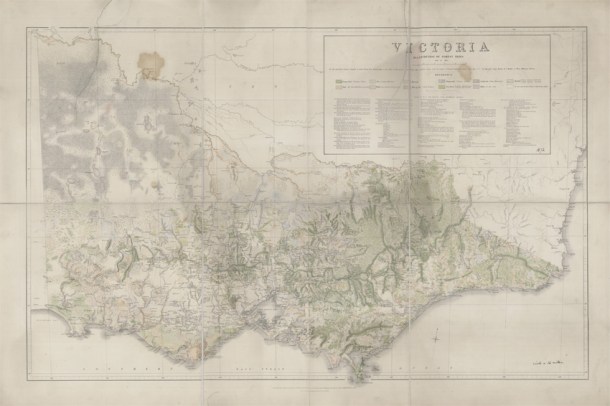 07-162 1873 Victoria Tree Coverage