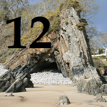 Door 12 – Can’t See the Wood for the&nbsp;Trees