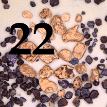 Door 22 – Sticking with&nbsp;turkey