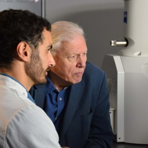 Attenborough and the Sea&nbsp;Dragon