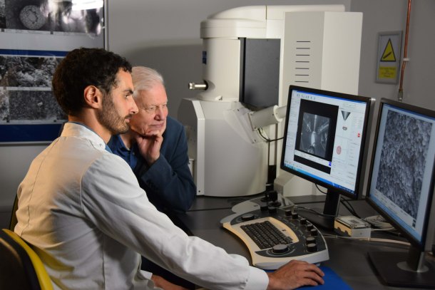 Media Attenborough & Fiann electron microscope screen