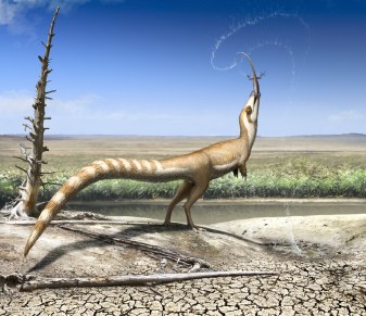 Sinosauropteryx
