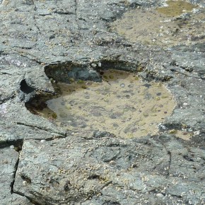 Rare giant dinosaur footprints shed light on Scotland’s Jurassic&nbsp;past