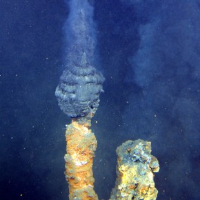 Announcing our theme for 2020 – the Year of&nbsp;Life