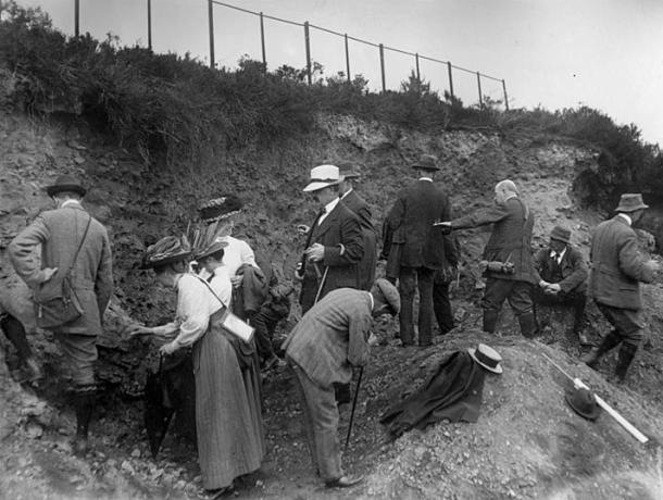 MC (Burek and Malpas, 2007)