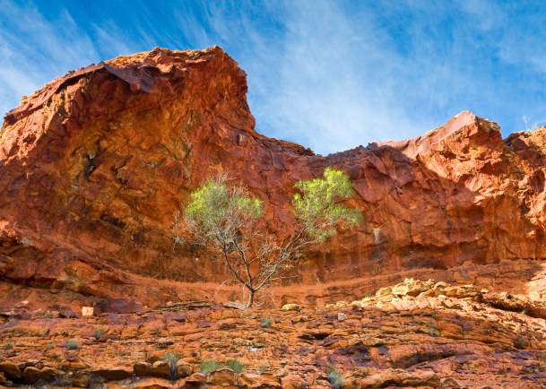 Kings Canyon, Watarraka National Park, NT Australia c. Dr Kevin Privett
