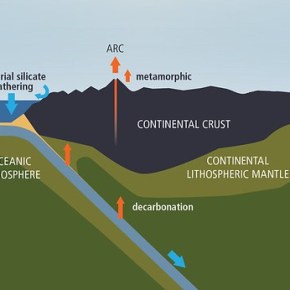 Around the carbon cycle in twelve&nbsp;pioneers