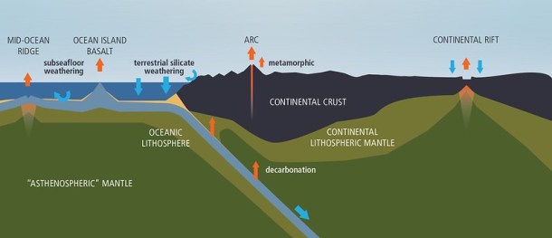 49013419122_f7ec51818c_c