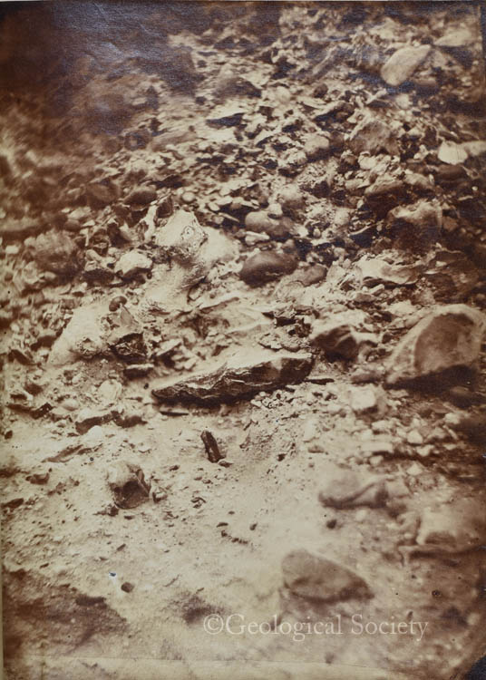 Close up view of the handaxe in situ
