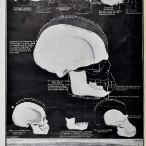 A Craniometrist’s Toolkit