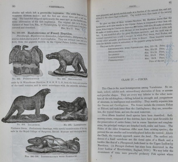 Models of Hawkins's dinosaurs and price list.